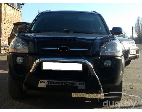 Кенгурятник "Amazon" для Kia Sportage